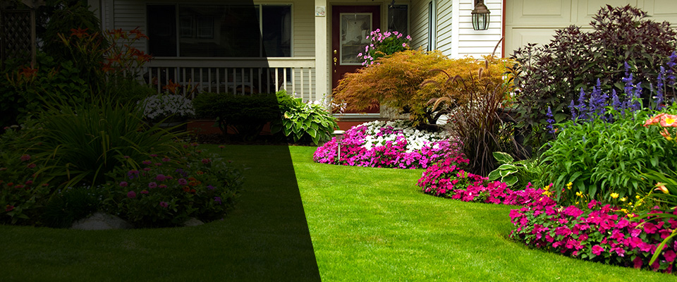 Daniels Landscapers