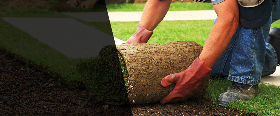 Daniels Landscapers